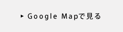 Google MapŌ